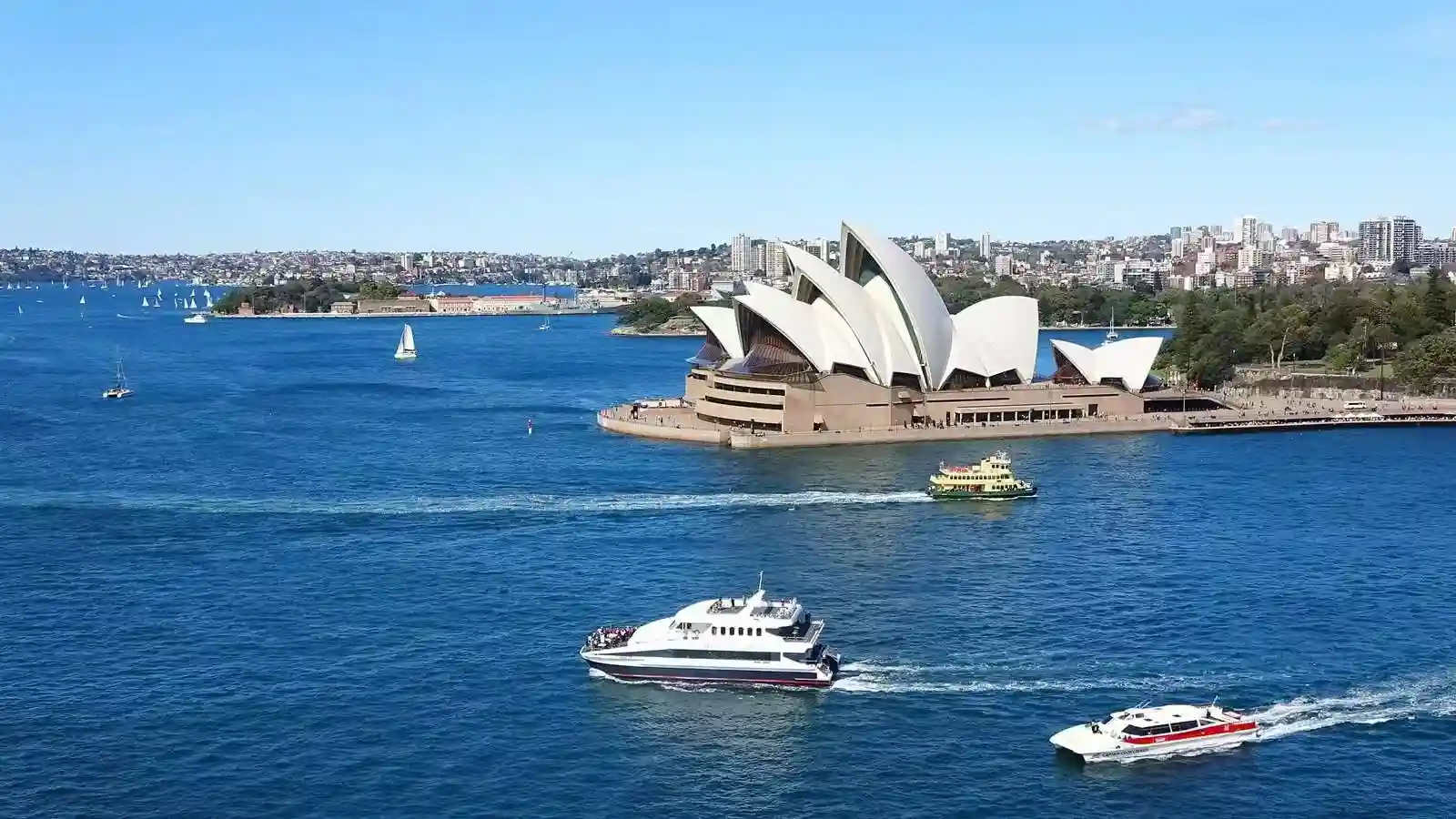 Premium Partnered Chauffeur Service - Australia & New Zealand
